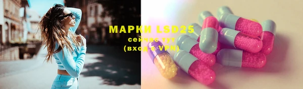 прущие грибы Алзамай