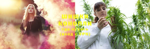 прущие грибы Алзамай