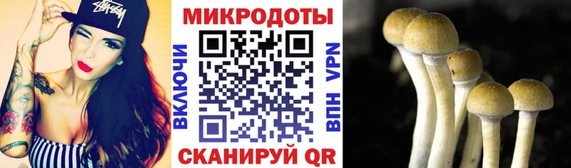 где купить наркоту  Рыбное  Псилоцибиновые грибы MAGIC MUSHROOMS 